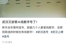 鄂A纯数字号牌大量发放？武汉市公安交管局工作人员回应图片