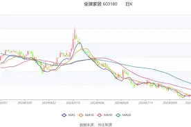 金牌家居：2024年上半年净利润6946.56万元 同比下降9.14%图片