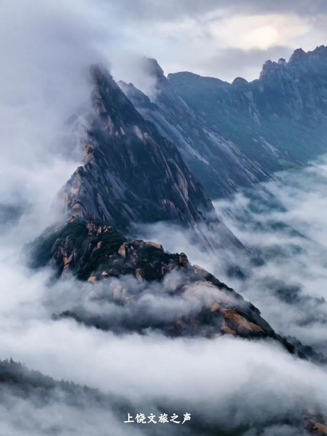 上饶冬日山野真的绝美，赶紧进山“Forest walk”一下~