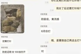 网购土拨鼠，连防疫证明都没有？记者调查：“异宠”市场乱象多图片