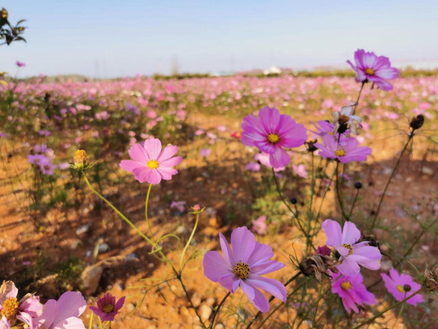 安徽东至：废弃矿山变身休闲乐园