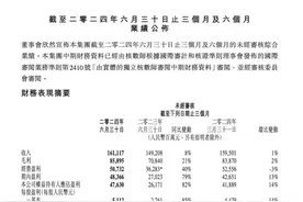 腾讯2024上半年营收超3200亿 净利润增加72%图片