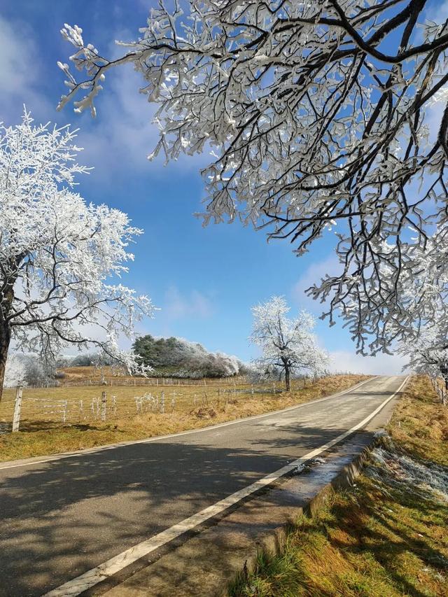 冬日限定！贵州的雾凇秘境藏不住了