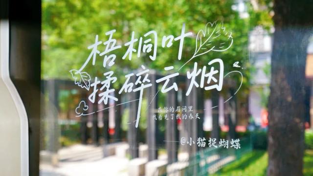 啊！又被南京“撩”到了！