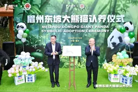 眉州东坡终生认养大熊猫“星星”暨第八届有机川熊猫竹笋节开幕图片