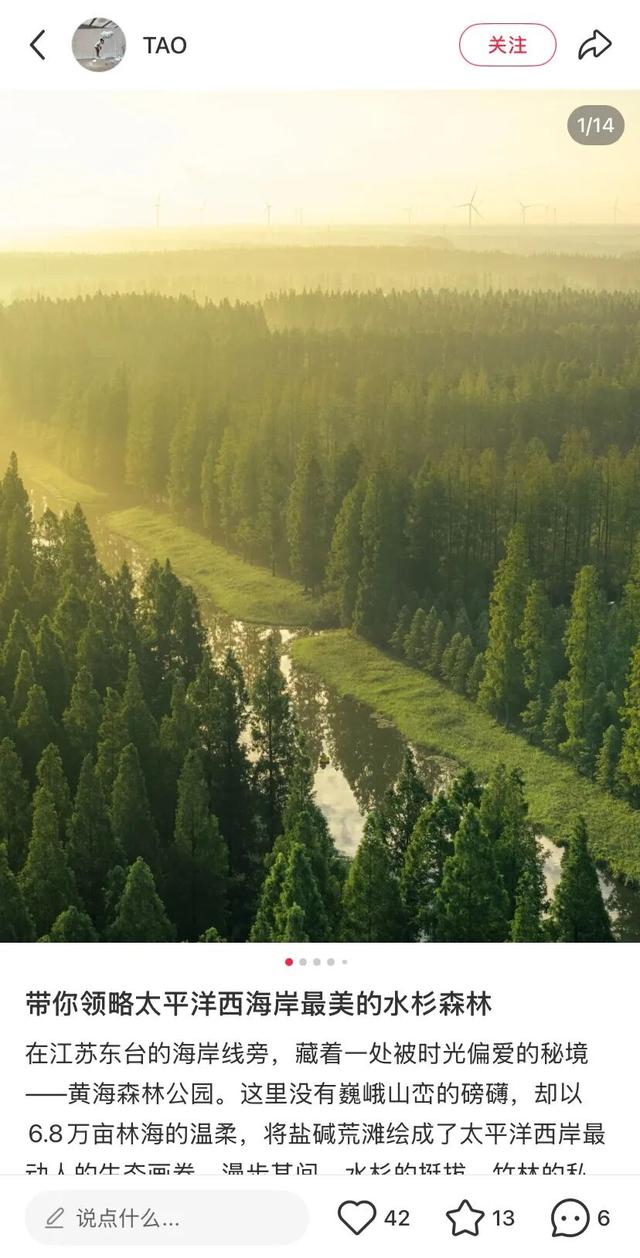 跟着达人一起打卡盐城限定秋景~