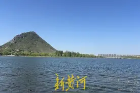 草木繁茂、白鹭纷飞，“公园20分钟效应”华山版来了 | 行走黄河图片