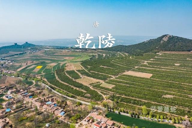 唐陵西线丨乾县-礼泉 乾崇靖建昭陵（唐代露天石雕艺术博物馆）（9/30-10/4）