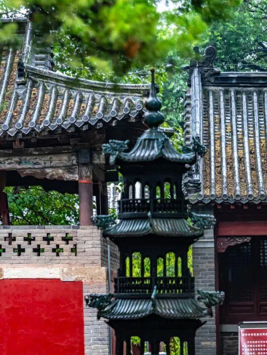 自驾行•游乡村｜济南线路推荐：槐荫、长清、平阴篇