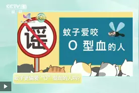蚊子最喜欢O型血？错错错 这七类人在它们眼里才是“真香”图片
