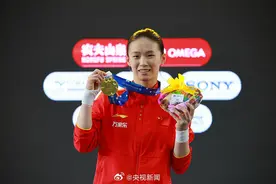 世界杯7金4银1铜 这就是中国跳水梦之队的实力图片