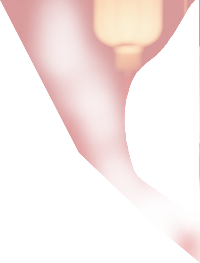 【金山古镇过大年】乡聚水窠，潮玩新春！