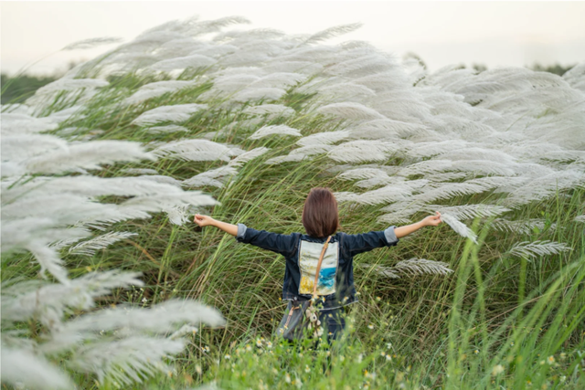 找到了！刷屏朋友圈的钦州“白色海洋”地址在这里→