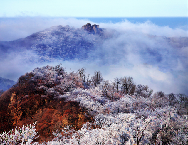 全面启动！来辽宁转“圈”吧！