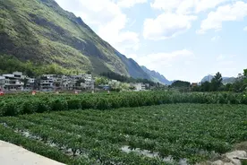 贵州罗甸：“两清两改两治理” 让乡村“净”起来、“美”起来图片