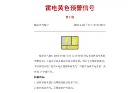尽量避免户外活动！临沂市气象台发布雷电黄色预警图片