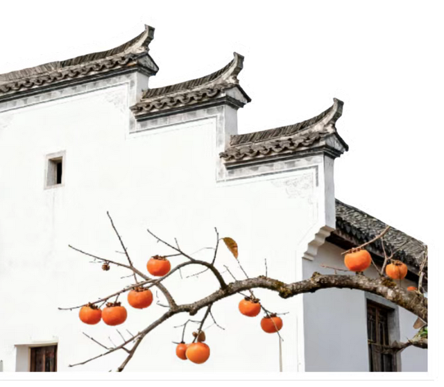 三明过年 · 马上有福 | 解锁三明年会新玩法！温泉+花海+丹霞+古城，承包团队全年快乐