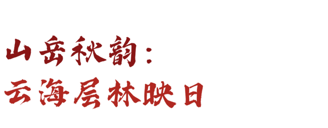 秋景大片都没看，洛阳的秋天，这就结束了？