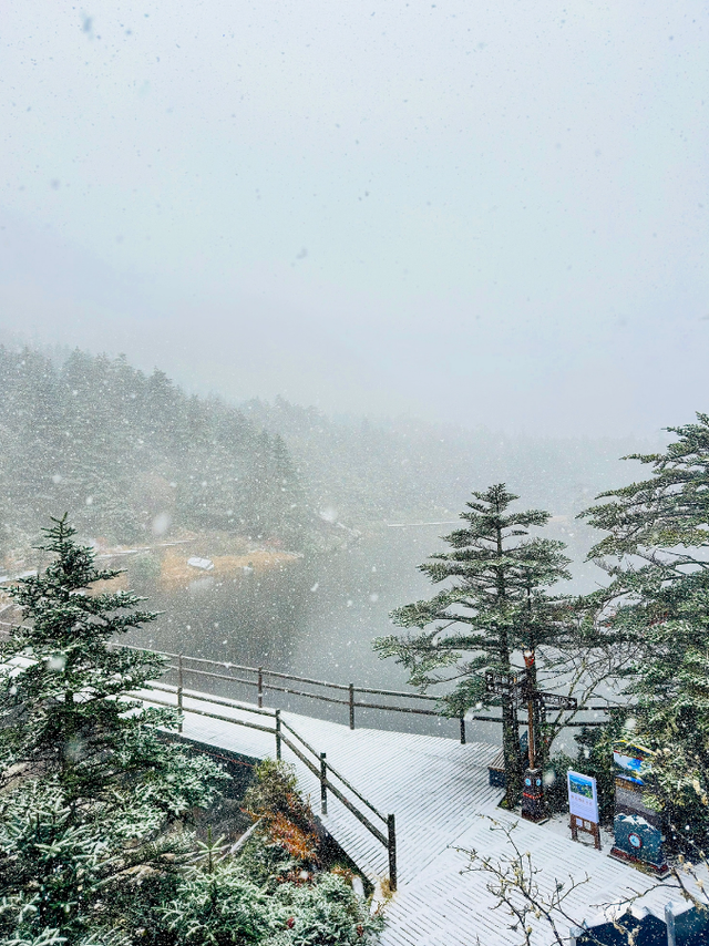 秋日雪景 | 凉山深秋, 一场不期而遇的秋雪
