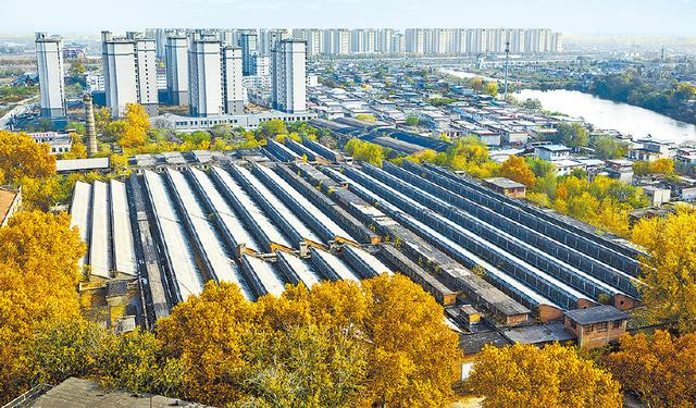 大运河河南段宝藏打卡地！秋日限定美景速来get～