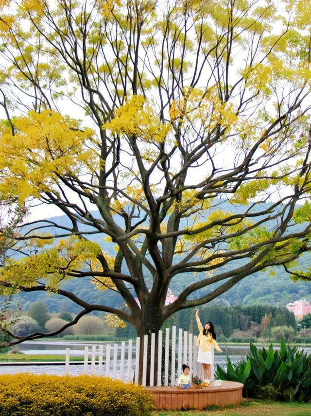 来西山区这些宝藏公园，感受治愈秋色