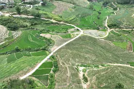 师宗县高良乡：百香果产业铺就乡村致富路图片