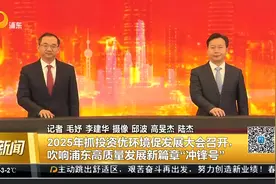 2025年抓投资优环境促发展大会召开，吹响浦东高质量发展新篇章“冲锋号”视频封面