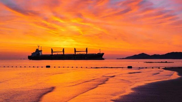 冬天！所有人都该来荣成见一见“永不失约”的布鲁威斯