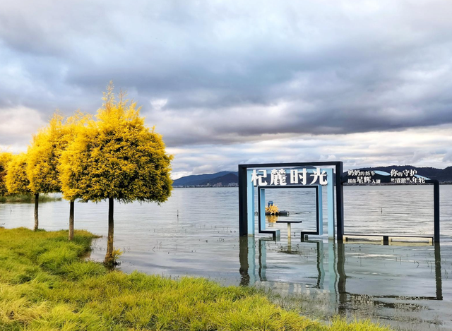 杞麓湖的初冬，藏着最温柔的治愈时光