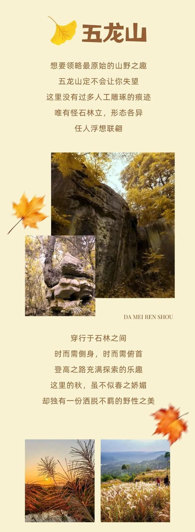登高、访古、寻秋！重阳来仁寿，“老”有意思了！