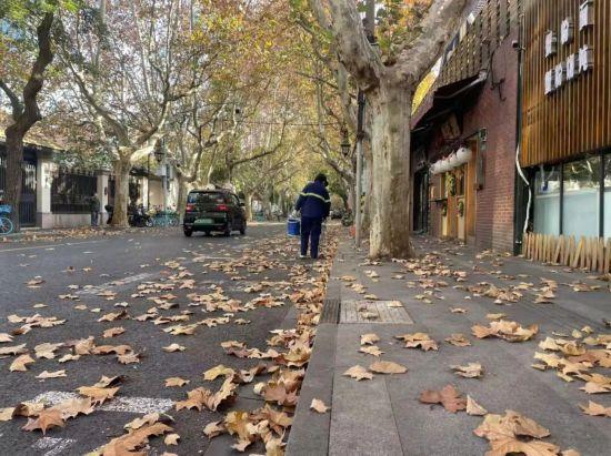 这场秋日浪漫别错过 申城落叶道体验进入倒计时