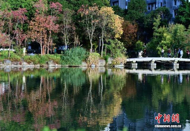 福州：色彩斑斓 冬景如画