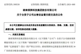 持续亏损，领湃科技变卖资产，动力电池淘汰加速图片