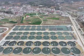 “鲟”出好前景！保康县中坪村生态养殖助农奔富路图片