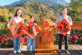 海南五指山：新春探“绿”抚人心图片