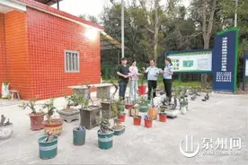 网购国家二级保护野生植物金豆 男子涉嫌违法图片