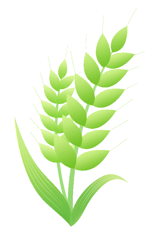 花海、儿童乐园、骑行步道……嘉定将新添一座公园，开放时间↗