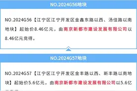 南京成交9幅地块 总用地面积约36．4公顷图片