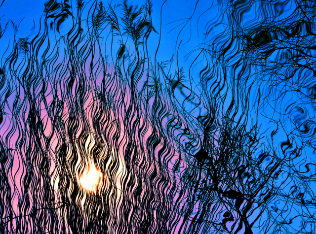 在圆明园看一片颠倒的世界