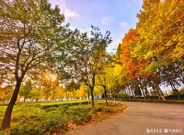 沂河岸边秋景美，抬眸尽是好风光
