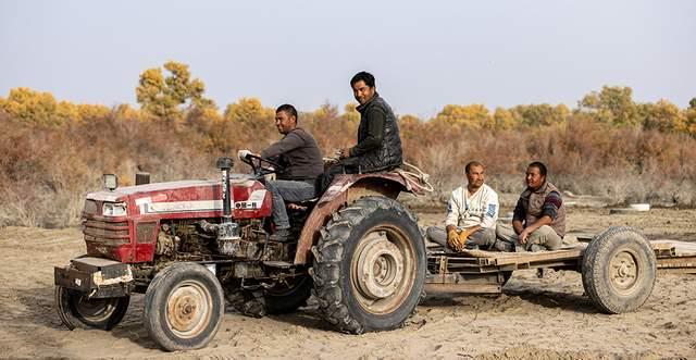 新疆沙雅：金秋邂逅“醉”美胡杨 470万亩金色林海迎观赏佳期