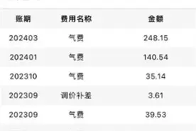 换表后，费用明显增加？重庆成立联合调查组进驻重点燃气企业图片