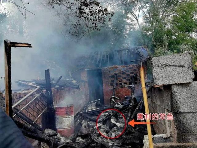 江西一村民出门吃酒席，回家发现800斤草鱼被烧成了碳！