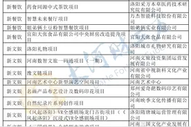 河南公示首批30个新服务新供给重点培育项目，UU跑腿、姐弟俩等在列图片