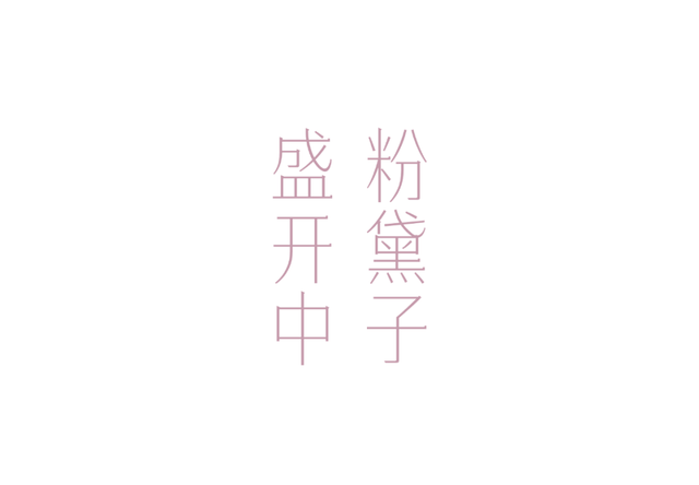 中山，粉了！免费免预约打卡→