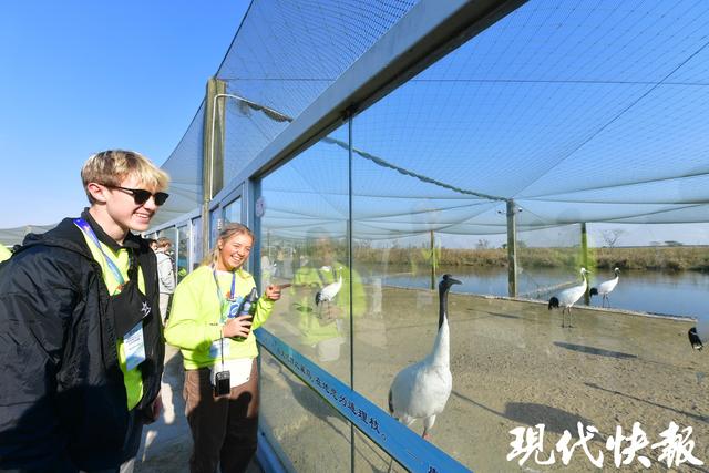 中美青少年相聚江苏盐城，以鹤为媒与世界对话