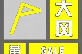 10℃！中雪！烟台发布道路结冰和大风黄色预警图片