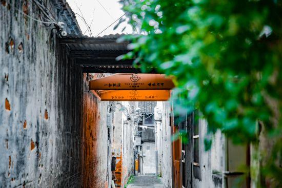 2025“最美小镇”名单公示，上海这一处上榜！