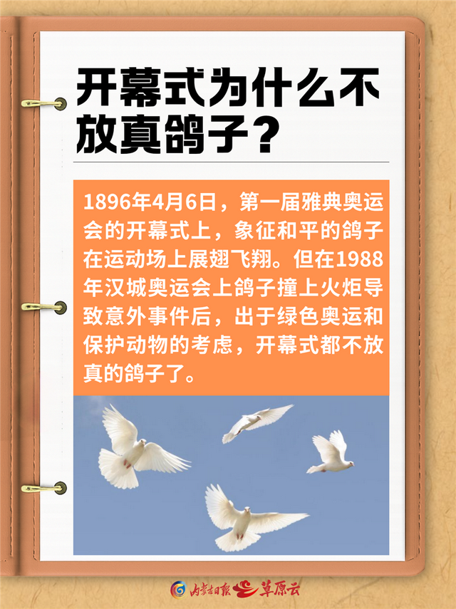 国际奥林匹克日丨这些奥运会小知识你知道吗？