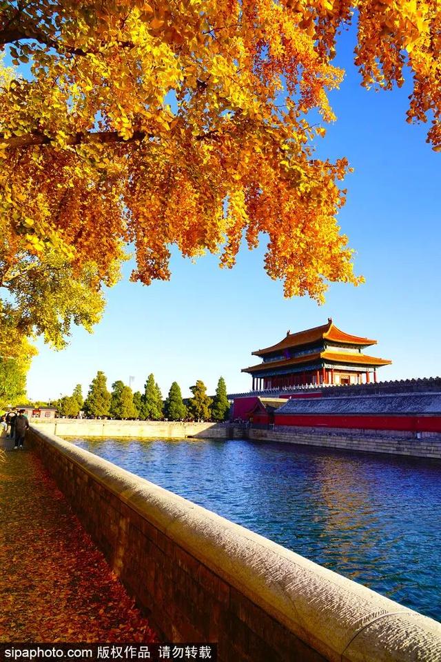 北京赏秋“绝配”来了！
